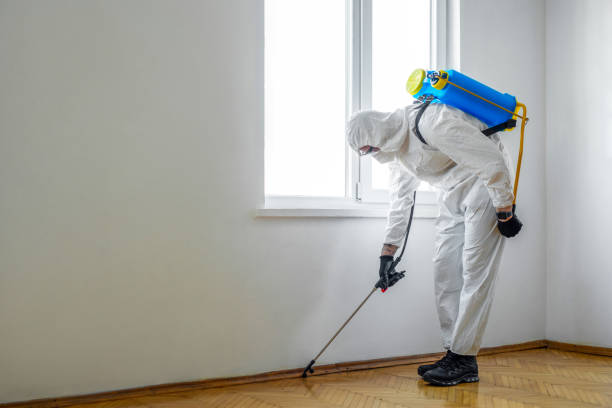 Best Best Pest Control Companies  in East Brewton, AL