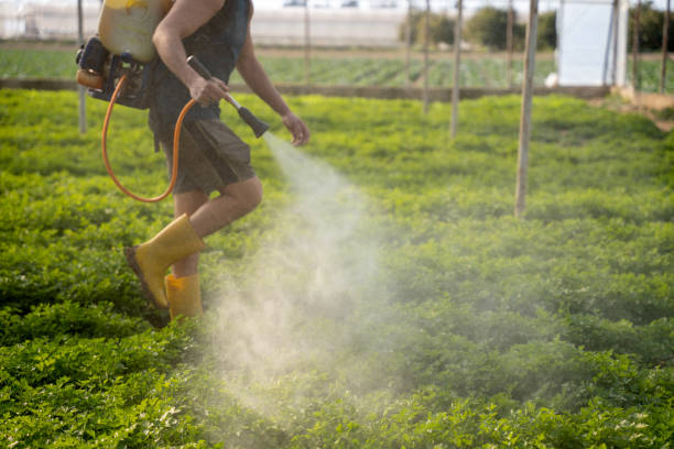 Best Pest Removal Services  in East Brewton, AL