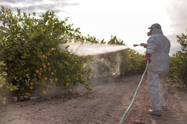 Best Residential Pest Control  in East Brewton, AL