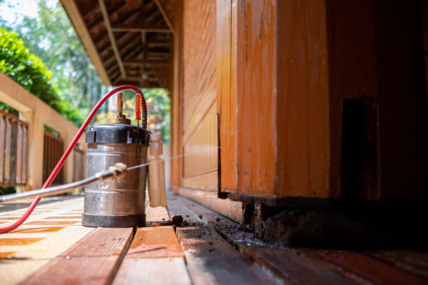 Wasp Removal Services in East Brewton, AL