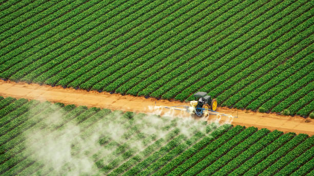 Best Affordable Pest Control Services  in East Brewton, AL