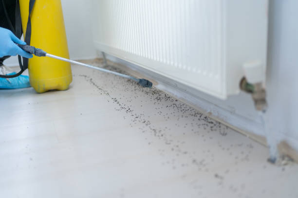Best Emergency Pest Control  in East Brewton, AL