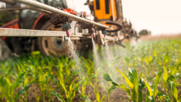 Best Pest Control Near Me  in East Brewton, AL