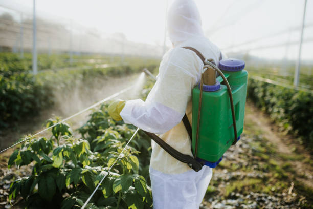 Best Wasp Removal Services  in East Brewton, AL